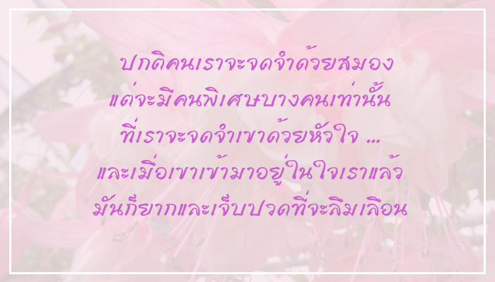 รูปภาพคำคม