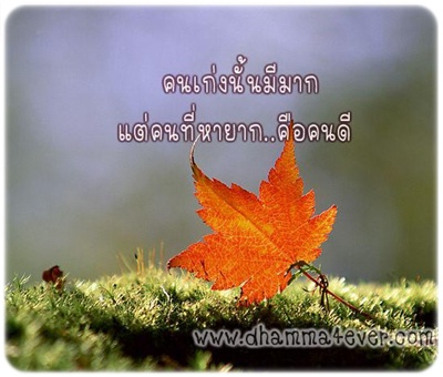 รูปภาพคำคม