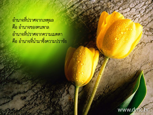 รูปภาพคำคม