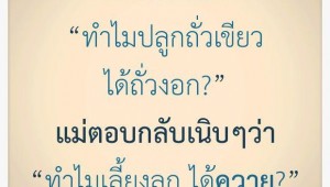 กลอนกวนๆ