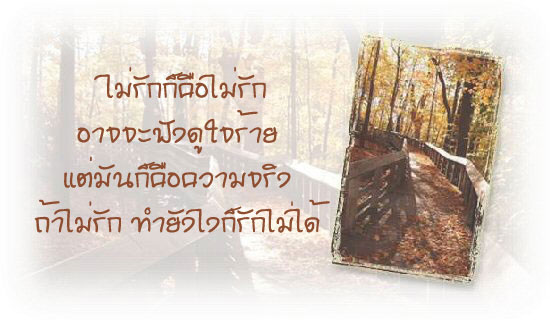 กลอนโดนๆ