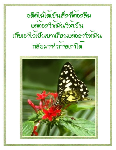 กลอนโดนๆ